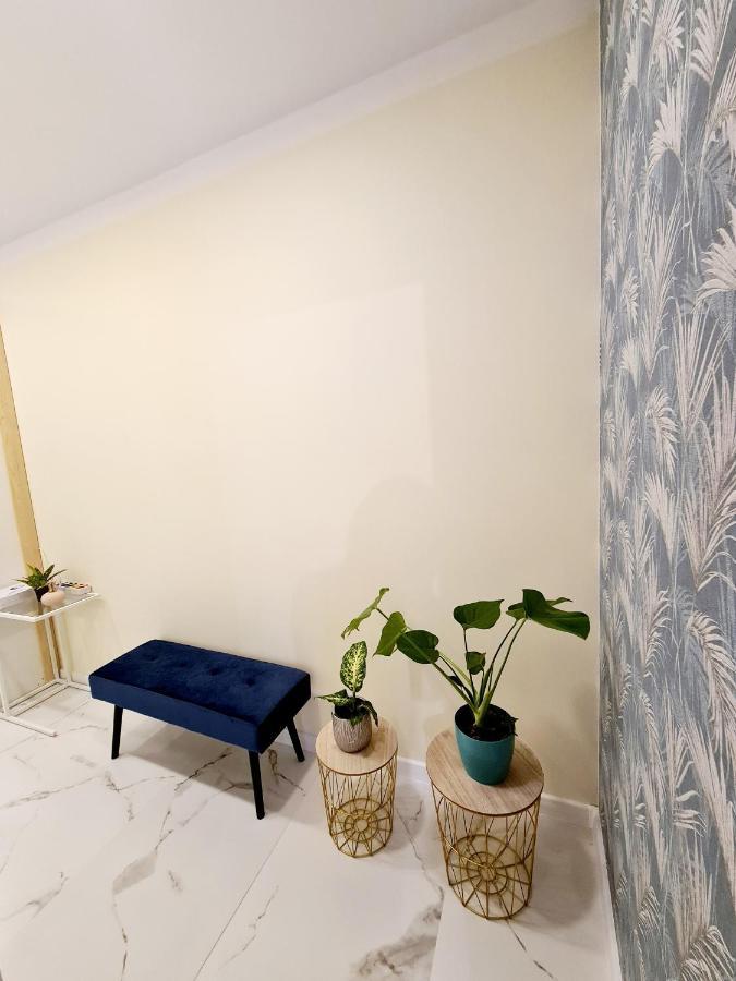 Apartamenty Przy Ratuszu 博莱斯瓦维茨 外观 照片